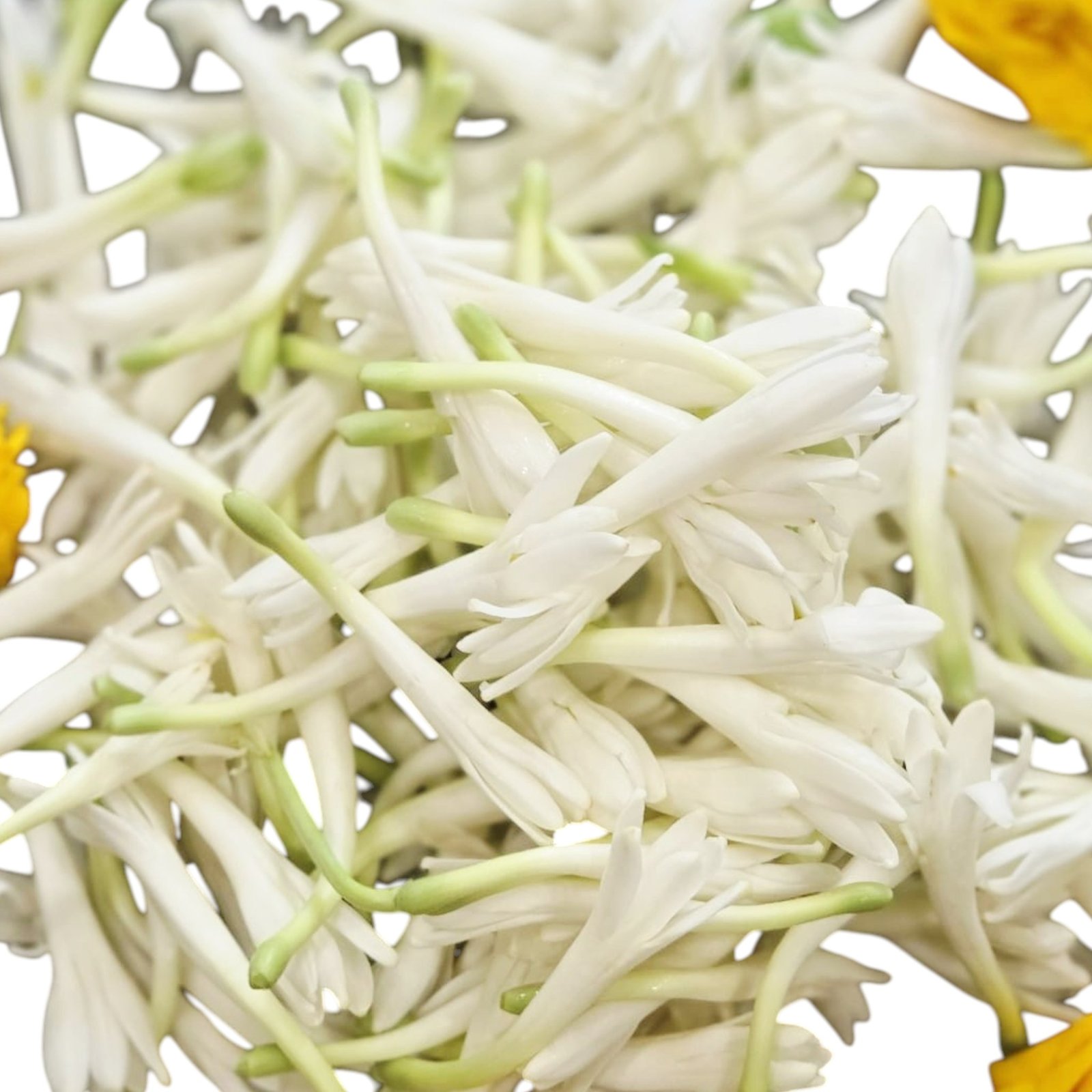 Sampangi Fresh Flower invidual