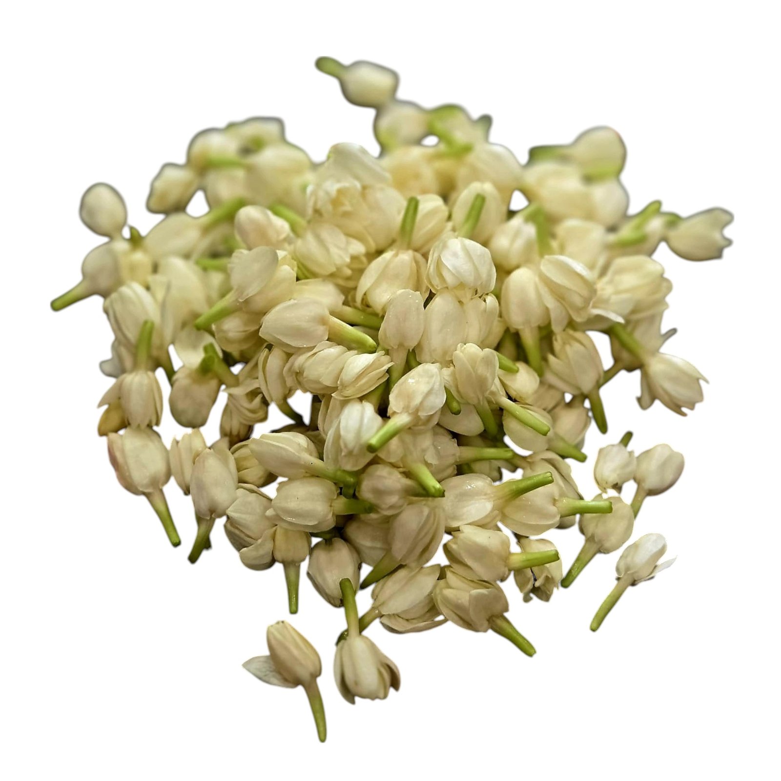 Jasmine Individual Flowers Small Box