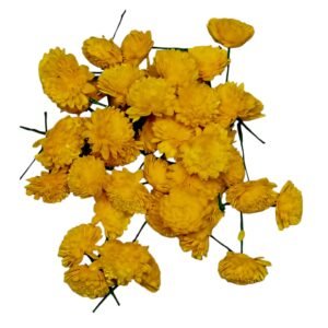 Marigold Fresh Flower, Camantippu (Samanthi), Banti, Jamanthi, Gende ka phool