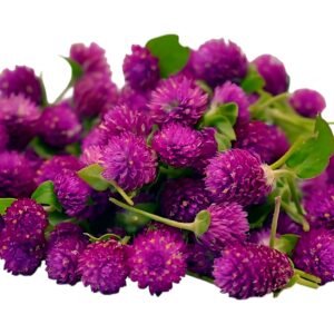 Vada Malli Small Box