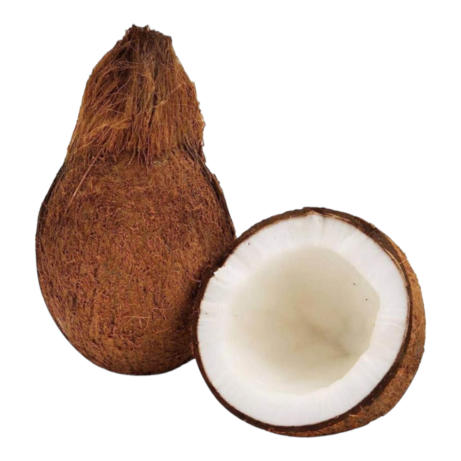 Coconut, Thengaai, Kobbari Kaya, Thenga