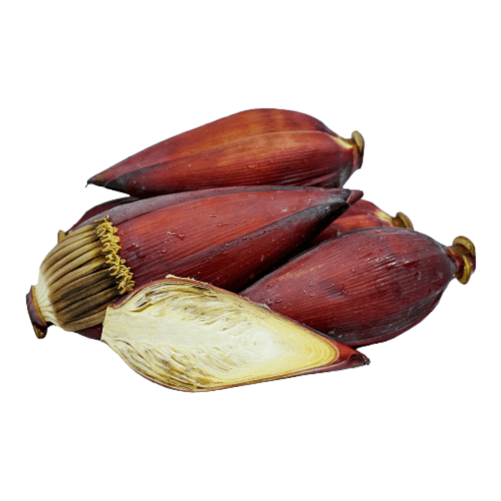 Banana Flower – Vazhai Poo | Fresh Arati Puvvu | 1 Whole