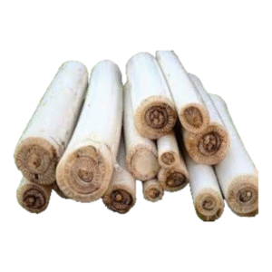 Banana Stem – Vazhai Thandu | Fresh Banana Stalk | 1 lb Pack