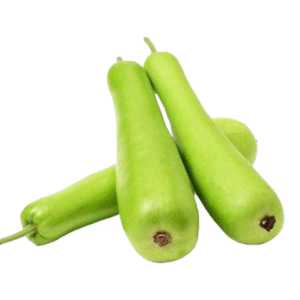 Bottle Gourd – Sorakkai | Fresh Lauki | 1 lb Pack