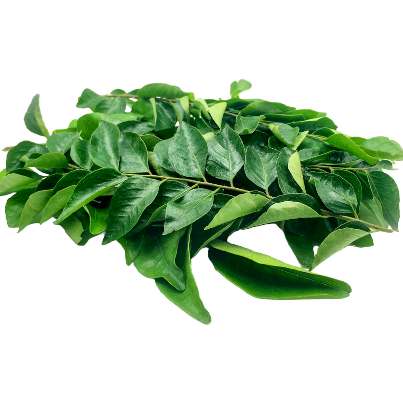 Fresh Kariveppillai Leaves – 1 Bunch | Curry Leaves | Kadi Patta