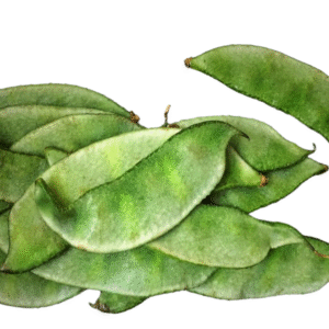 Broad Beans – Avarakkai | Fresh Indian Vegetable | 1 lb Pack