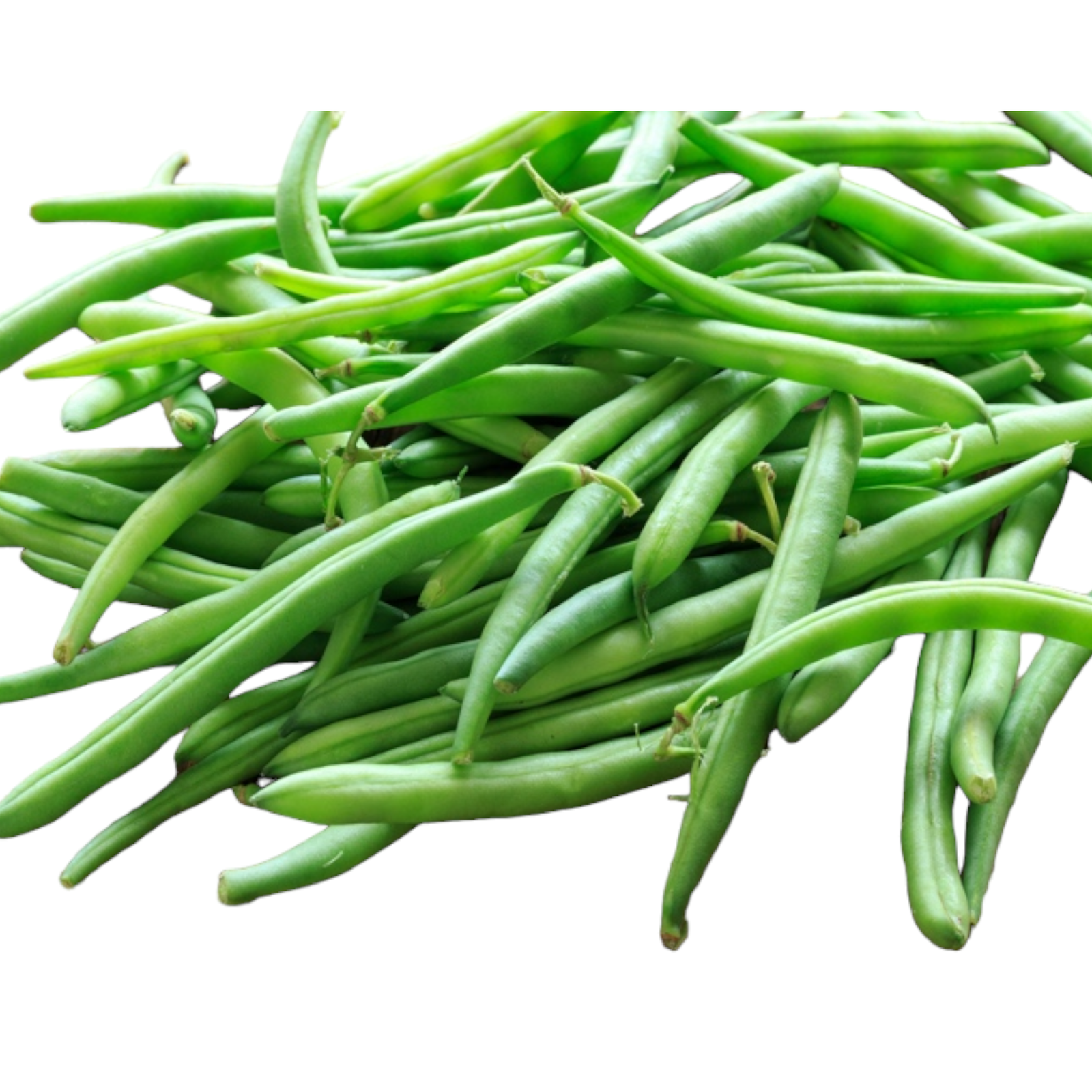 Fresh Beans – 1 lb | Green Beans | French Beans