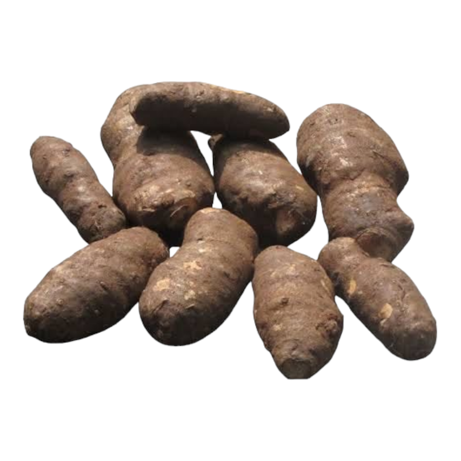 Taro Root – Ceppankilangu / Arabi / Cemadu – Fresh 1 lb Pack