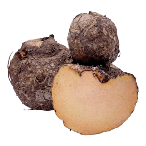 Yam – Senaikilangu (1 lb) | Fresh South Indian Root