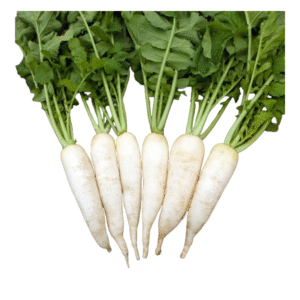 Fresh Radish (Mullanki / Mooli) – 1 lb Pack | Crisp & Flavorful