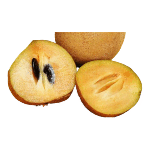Fresh Sapota (Chikoo) – 1 lb Pack | Sweet and Tropical Fruit