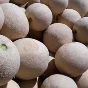 Muskmelon – 1 Each | Kirni, Kharbuja, Karbooja | Fresh & Sweet Summer Fruit