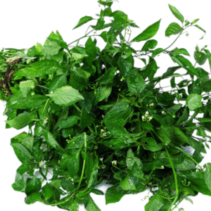 Black Nightshade Leaves – 1 Bunch | Manathakkali Keerai | Kamanchi Aaku