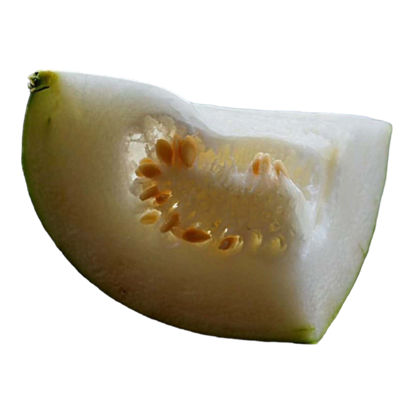 Fresh Ash Gourd – 1lb Pack | White Pumpkin for Cooking & Pooja