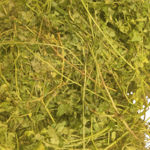 Balloon Vine, Mudakathan Kirai, Buddisepa, Uzinnikkurinna, Kapala - 1 Pk