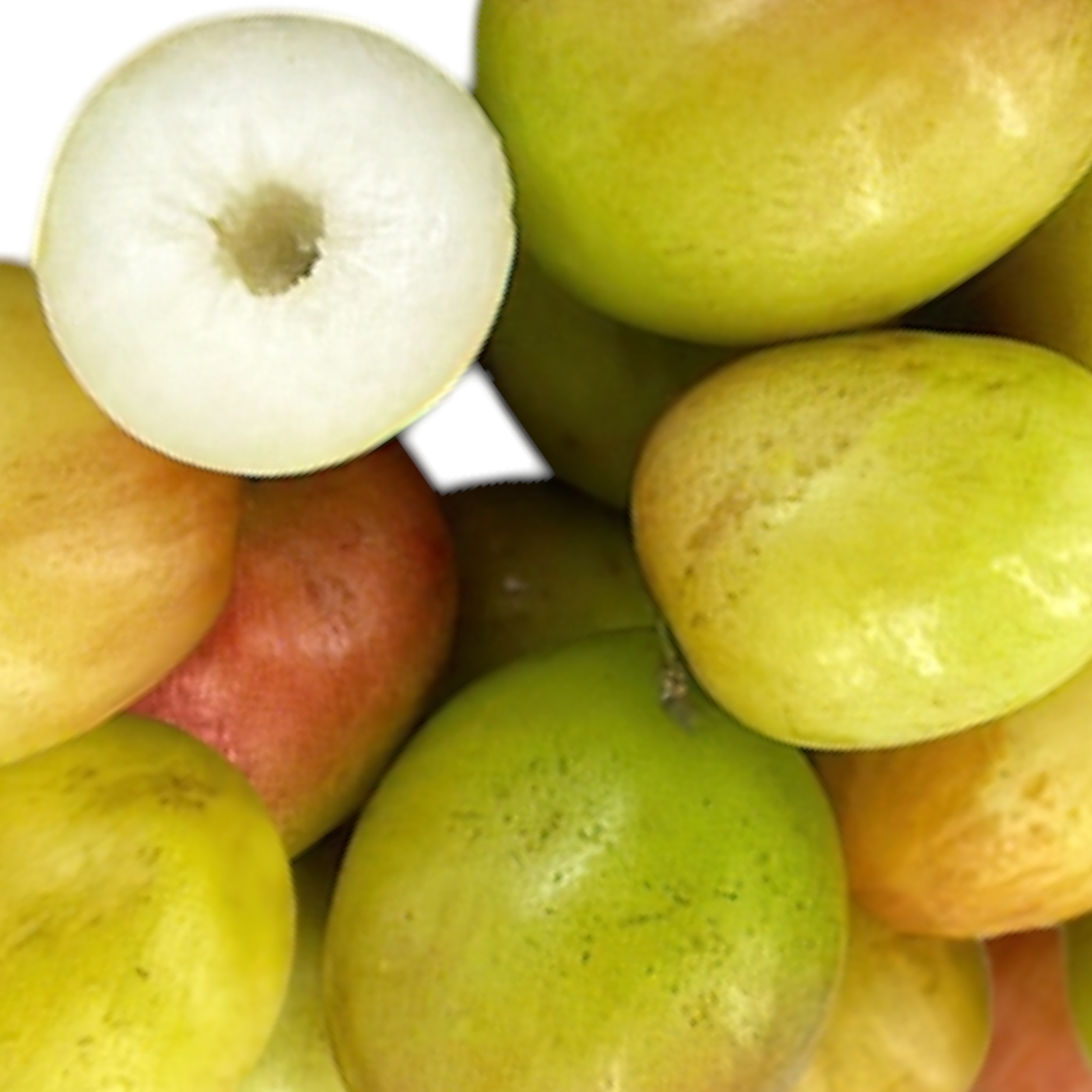 Indian Plum, Jujube, Illantha Pallam, Regi Pandu, Entha, Ber - 1 Pack