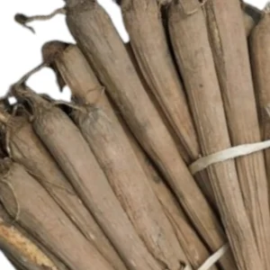 Palmyra Sprout, Panangkilangu, Thalavara, Tati Kandalalu, Tad ka Ankur - 1 LB Bunch