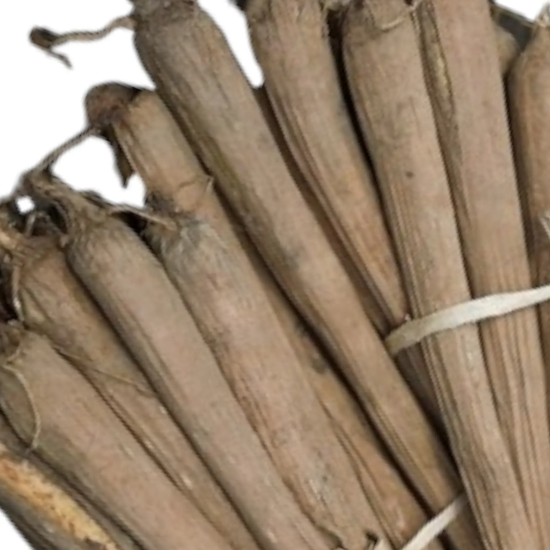 Palmyra Sprout, Panangkilangu, Thalavara, Tati Kandalalu, Tad ka Ankur - 1 LB Bunch