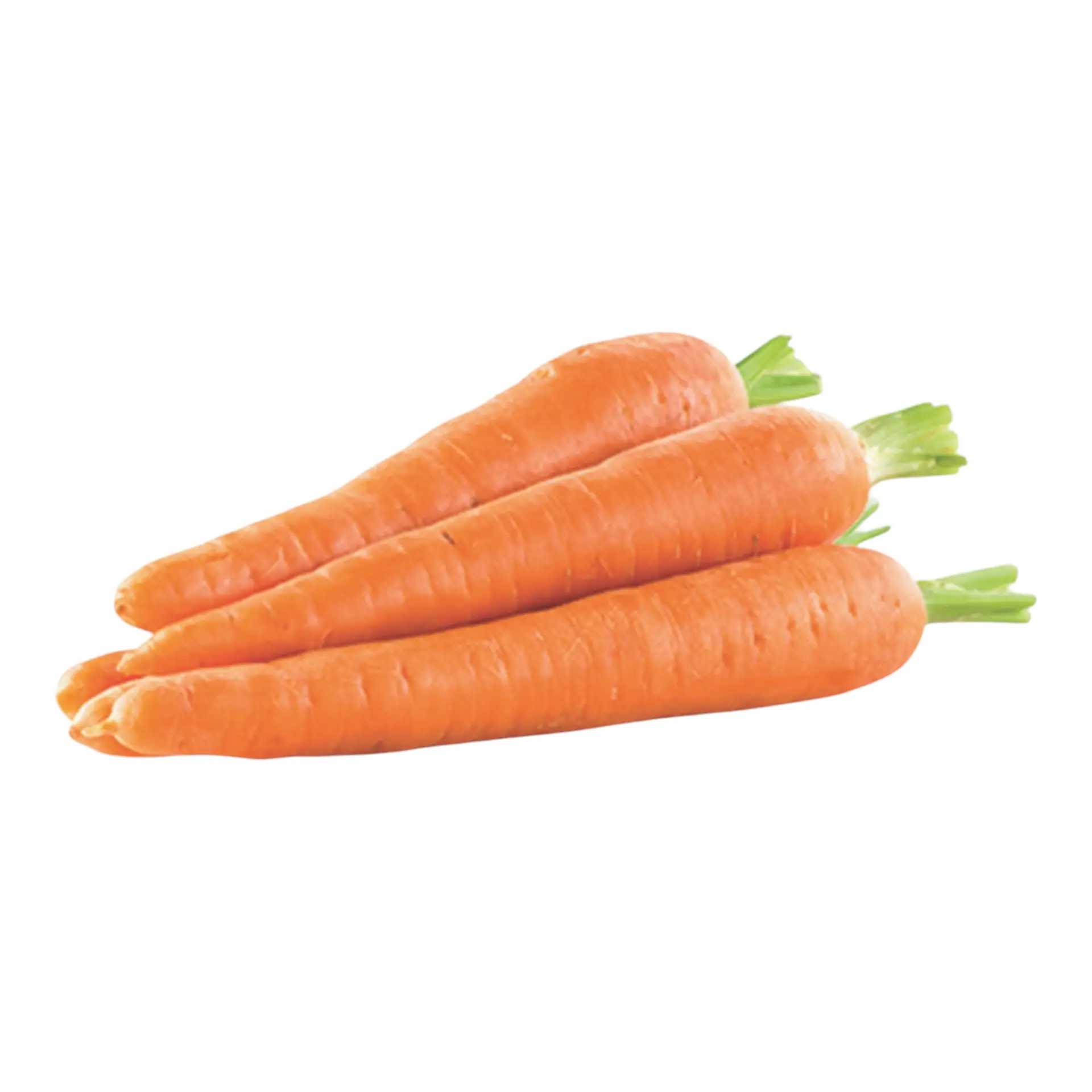 Carrot, Gajar - 1 Pack