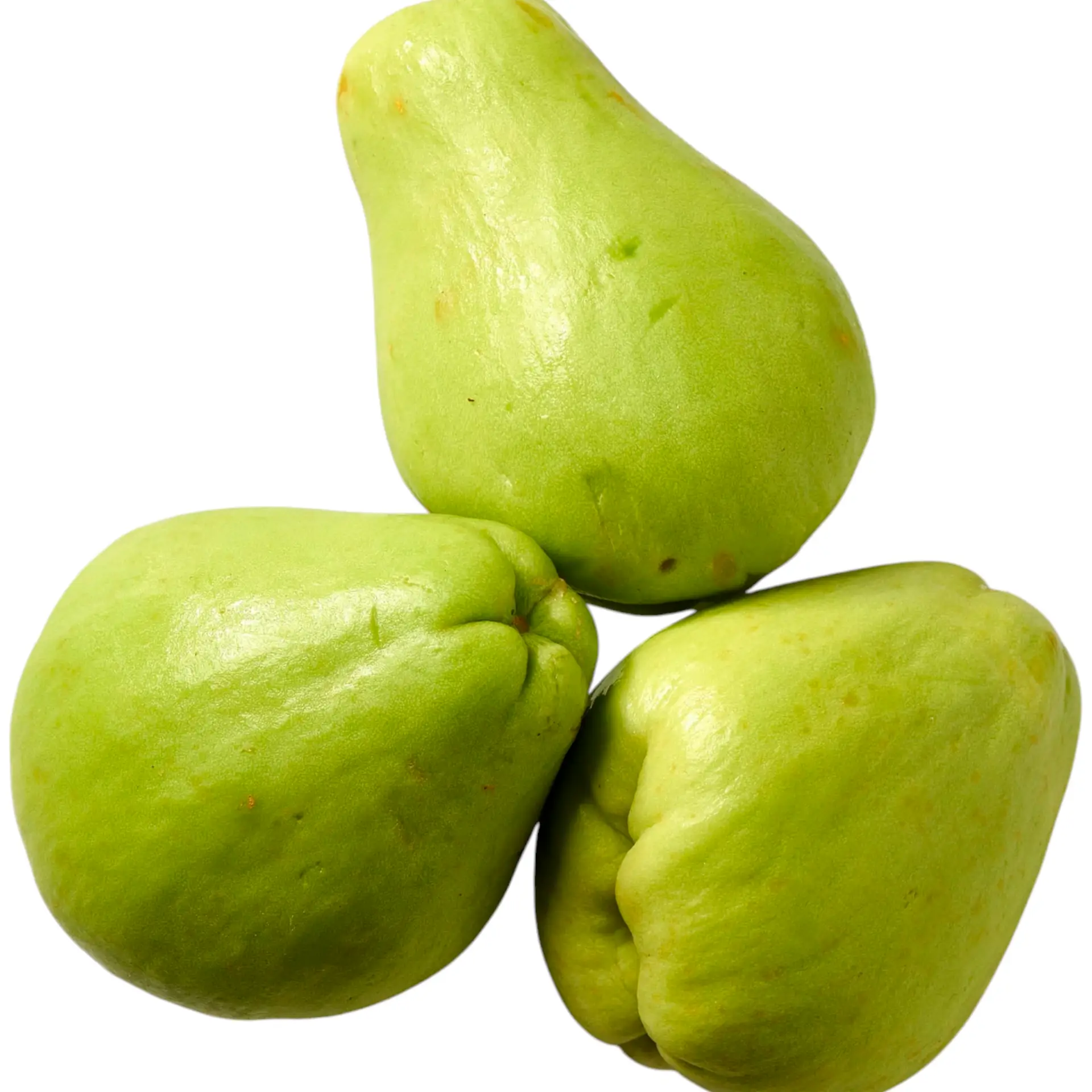 Chayote (Chow Chow), Shavo Shavo, Chemadupandu, Iskus - 1 Pack