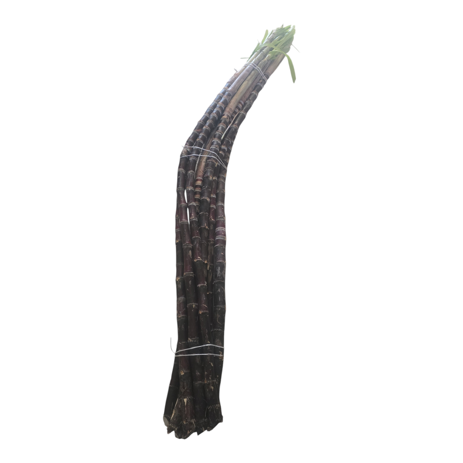 Sugarcane - Image 2