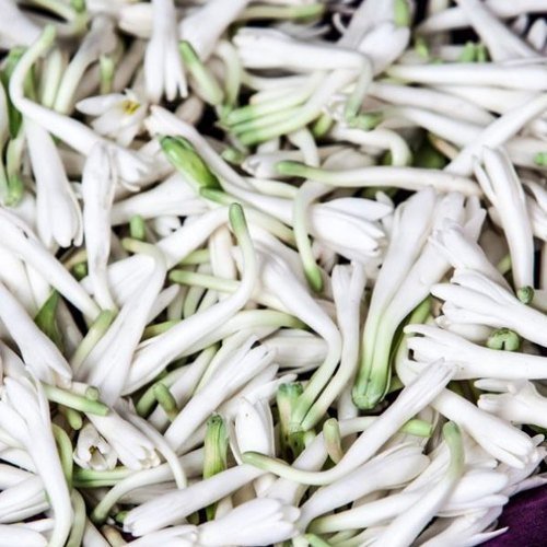 Sampangi Fresh Flower invidual - Image 3