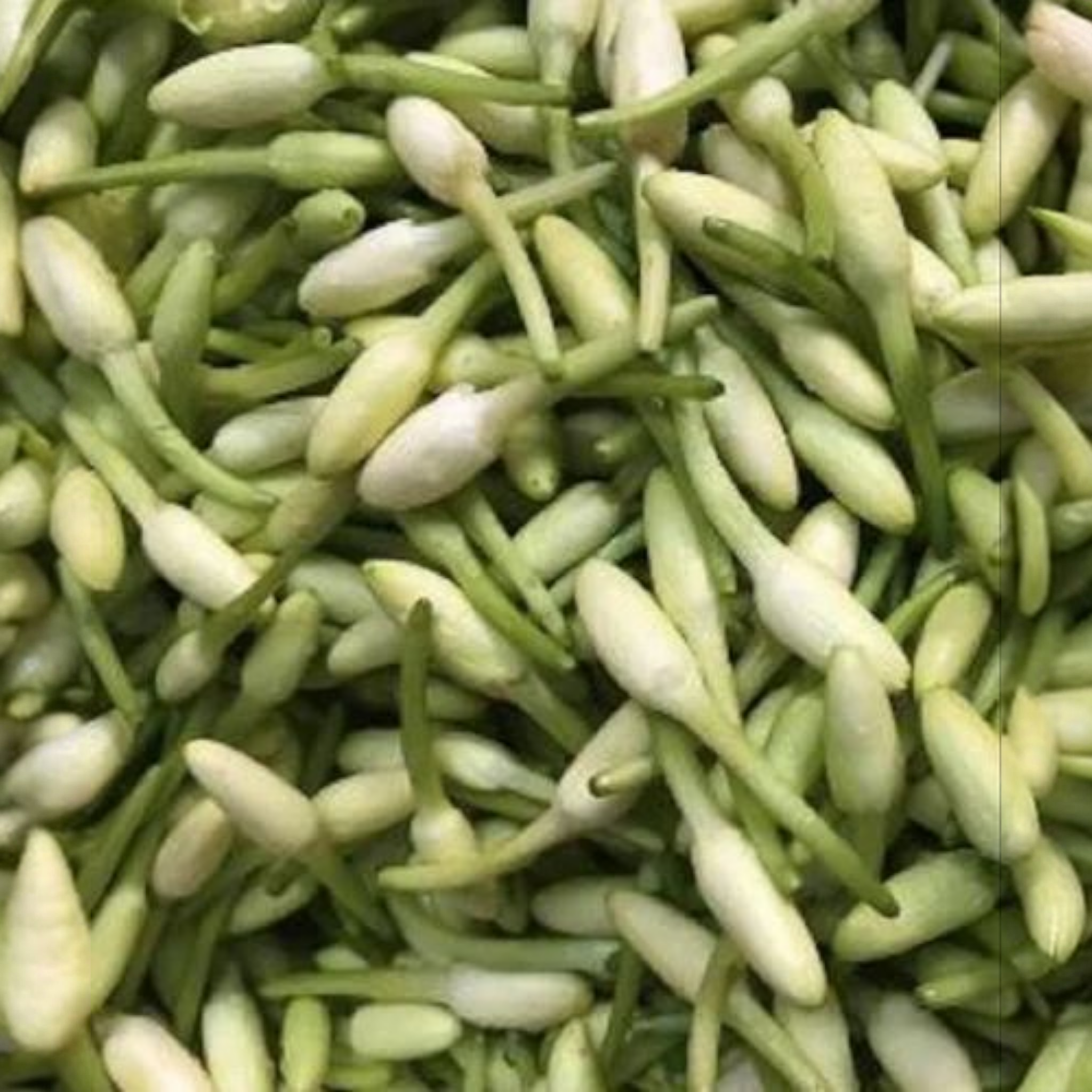 Mullai Individual Flower Small Bag - Image 2