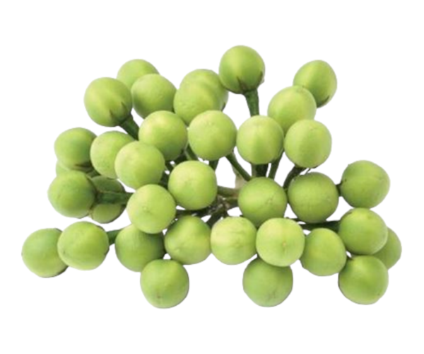 Photoroom-20240330-174408.png Photoroom-20240330-174408.png