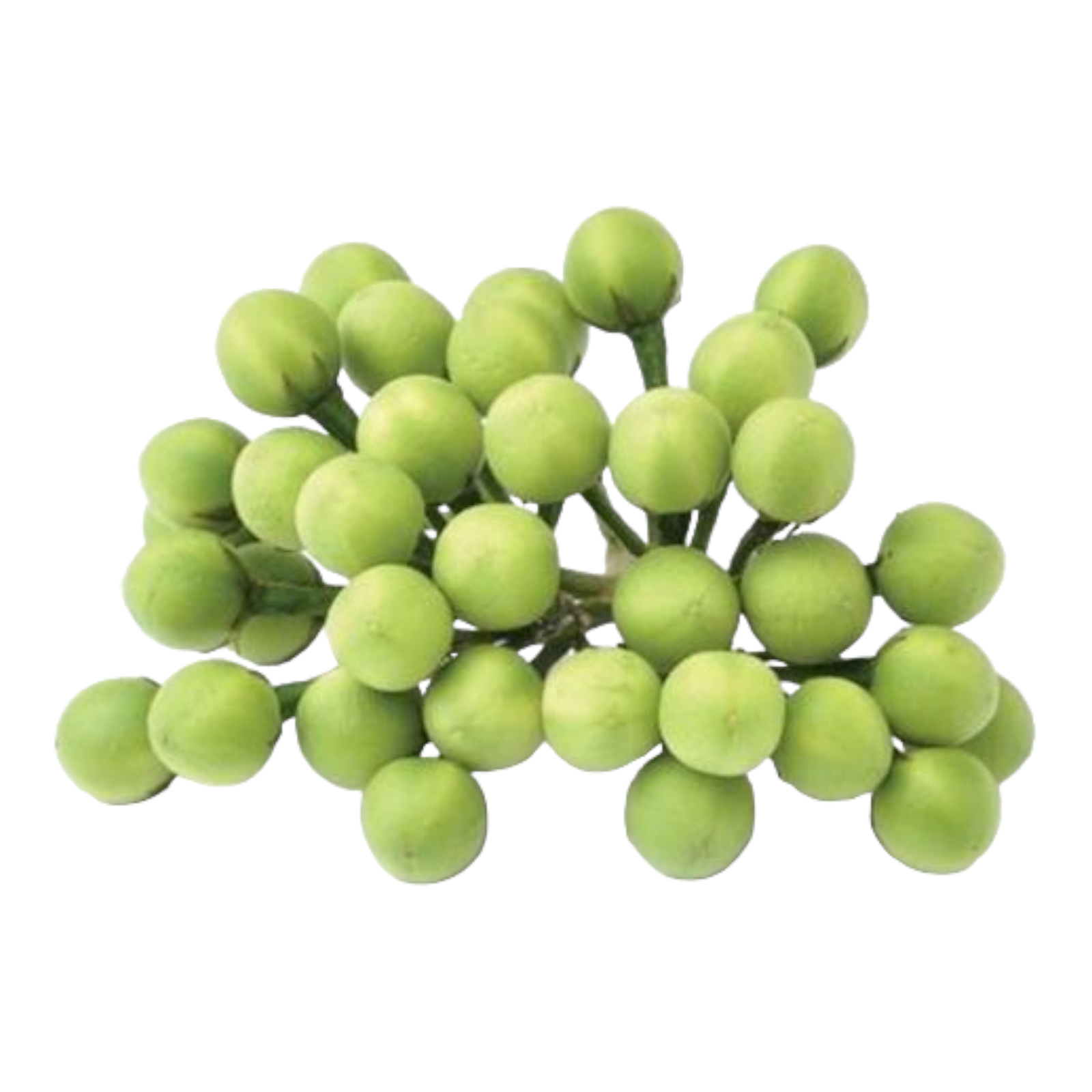 Turkey Berry – Sundakkai / Biryani Kaya (1 small Pack) | South Indian Cooking