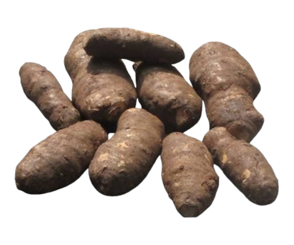 Photoroom-20240330-174930.png Photoroom-20240330-174930.png