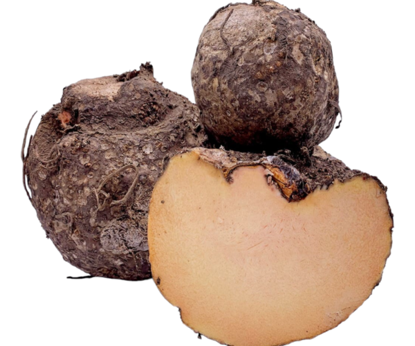 Photoroom-20240330-175036.png Photoroom-20240330-175036.png