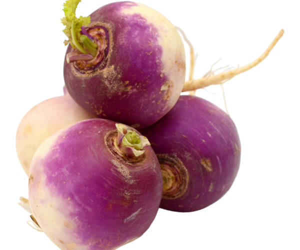 Photoroom-20240330-175154.png Photoroom-20240330-175154.png