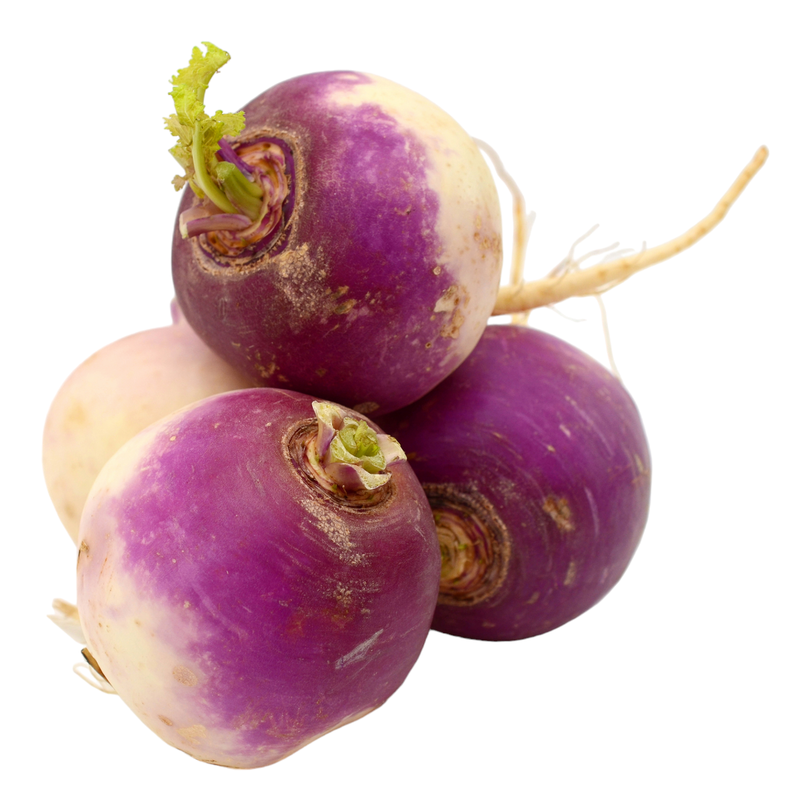 Turnip – Fresh (1 lb Pack) | Ideal for Sambar, Curries & Stir Fry