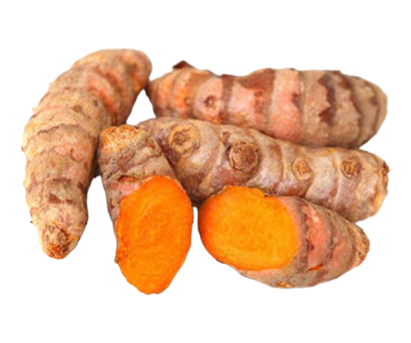 Photoroom-20240330-175536.png Photoroom-20240330-175536.png