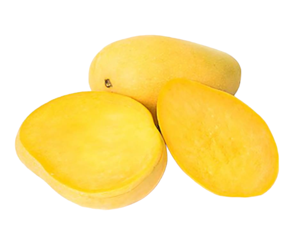 Photoroom-20240523-120032.png Photoroom-20240523-120032.png