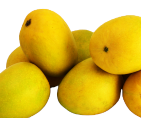 Photoroom-20240523-121141.png Photoroom-20240523-121141.png