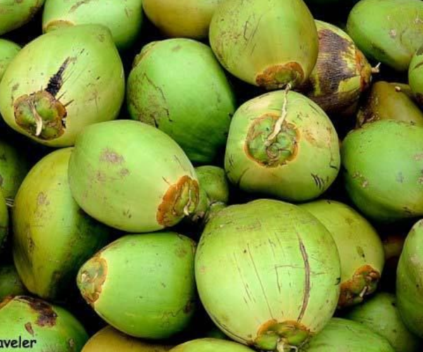 Photoroom-20240702-171802.png Photoroom-20240702-171802.png